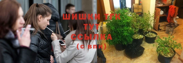 соль ск Новокубанск