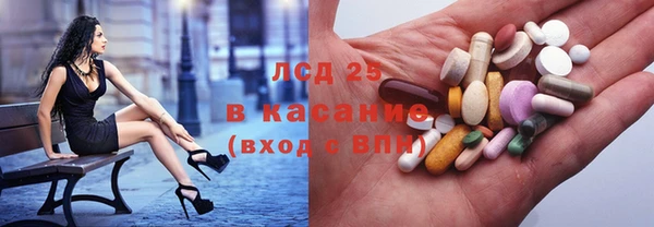 хмурый Новозыбков