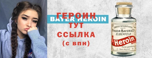 хмурый Новозыбков