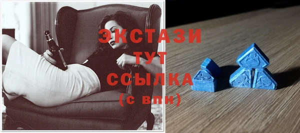 хмурый Новозыбков